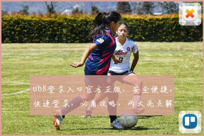 ub8登录入口官方正版，安全便捷，快速登录，必看攻略，两大亮点解析，体验无忧