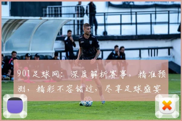 901足球网：深度解析赛事，精准预测，精彩不容错过，尽享足球盛宴