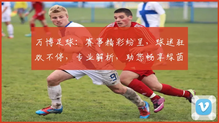 万博足球：赛事精彩纷呈，球迷狂欢不停，专业解析，助您畅享绿茵盛宴，一网打尽